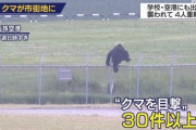 【動画】クマさん、もはや秋田市街地を普通に遊び場とする