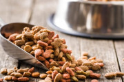 犬って毎食ドッグフード食べてて飽きないんか？
