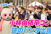 【櫻坂46】小林由依卒コンの謎のパンダの正体が判明