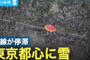 【速報】東京都心でガチで積雪　5日かけて関東地方で大雪　国交省が声明発表「高速道路なと通行止めの範囲拡大する可能性」また雪難民が発生か