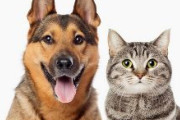犬や猫を飼うことで得られる満足感は年収１３００万円増に匹敵　経済学で「満足度」分析　イギリス研究