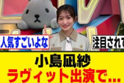 小島凪紗、ラヴィット効果か！？[櫻坂46]