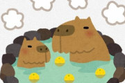 【冬の風物詩】カピバラの露天風呂、始まる　1時間以上長風呂を楽しむつわものも  長崎バイオパーク