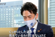 【朗報】小泉進次郎氏、大谷のホームラン数を予言していたｗｗｗｗｗｗｗ