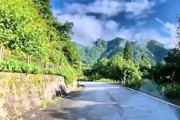 【富山】これは避けられない。道路に飛び出した熊さんをはねてしまうドラレコ。