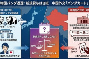 【速報】中国外務省「日本のファンが中国にパンダを見に来ることを歓迎する」　外壁のペンキ塗りしてるであろう駐大阪中国総領事の薛剣も見れますか？