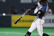 【悲報】2019年のプロ野球珍プレー、不作
