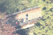 【速報】２０代女性さん、シカを撮ろうと橋から落ちて死亡「これ落ちるような橋か？」「父親や父親の友人とシカをねぇ･･･」