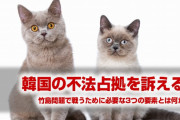 竹島を取り戻すために必要な3つの行動がこれだ！　韓国の不法占拠行為を国際社会で訴えよう