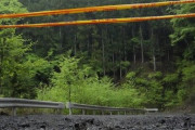 【山梨・道志村】骨や衣服が次々発見され驚きが隠せない消防団員「当時何度も捜索した、考えられない」