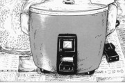 「高級炊飯器」がブームみたいやが10万円近い炊飯器はそんなに美味しいんか？