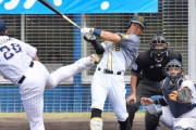 阪神・佐藤輝、高山、糸井の適時打で初回に３点先制　ヤクルト１位・木沢を攻略