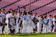 【宝の山】12球団合同トライアウトが終了