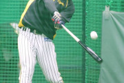 阪神佐藤輝明フリー打撃再開　矢野監督が見守る