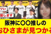 阪神タイガースに〇〇推しのおひさまが見つかる【日向坂46】