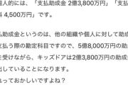 【悲報】嘘喰い作者さん、いよいよ一線を超え始める。暇空茜のNPO叩きに参戦へｗｗｗｗｗ