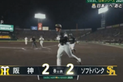 柳田悠岐の同点2ランきたああああああ！！！！
