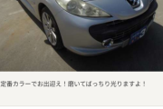このカッコいい車を買うことにしたんだが