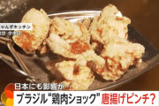【悲報】日本さん米だけではなく唐揚げまでピンチに陥る
