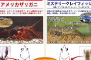 日本終了。ザリガニ飼育禁止で生きる意味を失う国民が増加傾向。「毎日が辛い」とこぼす国民も…