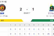 【試合結果】ヤクルト1-2×阪神　田口打たれサヨナラ負け…吉村6回途中無失点