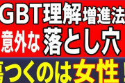 LGBT法案が成立したら女性専用車両は事実上廃止なの？フェミの皆さん、大丈夫？