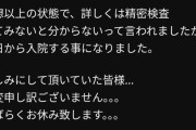 【訃報】人気vtuber、急逝