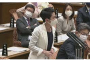 何この仕事してますアピール、アリバイ造りかよ！　〜　【緊急事態宣言恐慌】蓮舫氏が「家賃支援法案」提示「与党案が出ないのなら早く審議を」と切実な訴え