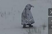 ペンギンに変装したロシア兵がウクライナの雪原で迷子に…ドローン攻撃で死亡！