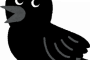 【は？】面接官「カラスは『黒い』ことを証明しなさい」俺「今まで見てきたカラスは全て黒かったです！」→結果ｗｗｗ
