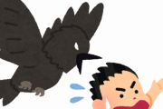 【恐怖】カラスの恐ろしい所、『こんなにも』あったｗｗｗｗｗ