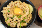 【健康食!?】伝説のすた丼屋とかいうチェーン店www