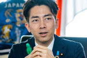 「住宅の太陽光義務化」という小泉大臣の発言は明らかに、国民の財産権を明記した日本国憲法への冒涜であって立派な憲法違反だ。