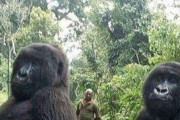 【朗報】ゴリラを密猟者から守るレンジャーがこちらｗｗｗｗｗｗｗｗｗｗｗｗｗ
