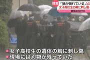 両親が喧嘩ばっかするからと祖父の家に身を寄せたJK、祖父にめった刺しにされ死亡