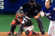 メジャー野球の歴史に残る珍プレー起きたけどこれなんなん