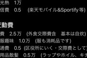 【悲報画像】生活保護ワイの家計簿がヤバすぎる　お前らが想像する10倍は貧乏wxwxwxwwxwxwxwxw