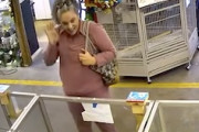 【動画】ペットショップから34万円のインコを盗んだ女。