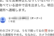 【悲報】店内に虫が出ると口コミを書かれたオーナー、ブチ切れるwww