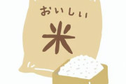 【衝撃】最近の日本人「米って硬めの方が美味くね？」→コシヒカリさん無事オワコンへｗｗｗｗｗ