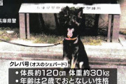 行方不明者捜索中に行方不明の警察犬捜索に４０人態勢→無事見つかる