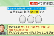 大谷とダルビッシュの食事メニュー、ガチで意識が高すぎる……