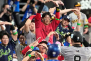 プロ野球ファン「贔屓球団が勝つと自分が勝った気分なれる。なろう系読むよりコスパが良い」