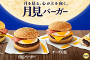 X民「人生で初めて月見バーガー食べたんだけど卵の殻入ってた。これ普通なん？」ﾊﾟｼｬｯ→まぁ欠片ぐらいはたまに・・・と思いきやとんでもない混入っぷりだったｗｗｗｗｗ