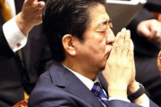 安倍「わ、ワイちゃん！清き一票入れて！」ワイ「うるさいですね……」