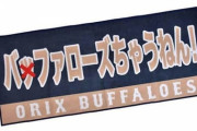 【野球】日本一オリックス悩ます「バッファローズ」誤読問題　間違い正す「バファローズ警察」出動も...球団の思いは