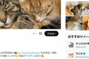 電車の母親「子供が泣くんでスンマソン。ミスドをちと失敬（泥棒）」　Twitter民「は！？（怒）」