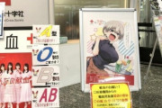 【献血】フェミ&外国人「性的なキャラクターをポスターに使うな！」→日本赤十字「一般の方へのPRを目的にしてない」