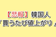 【悲報】韓国人「ウォン安を一番実感するのは、この瞬間…」