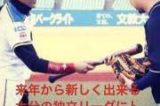 元オリックス・DeNA白崎浩之、大分の独立リーグチームに選手兼コーチで入団が決定